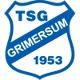 Avatar Bild für TSG Grimersum