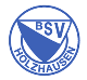 Avatar Bild für BSV Holzhausen