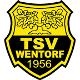 Avatar Bild für TSV Wentorf