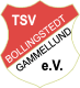 Avatar Bild für TSV Bollingstedt-Gammellund