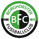 Avatar Bild für Borghorster FC 1911/1924