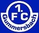 Avatar Bild für 1.FC Gummersbach