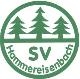 Avatar Bild für SV Hammereisenbach