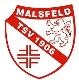 Avatar Bild für TSV Malsfeld