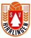 Avatar Bild für SV Hirrlingen