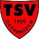 Avatar Bild für TSV Oberbrüden