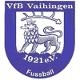 Avatar Bild für VfB Vaihingen/Enz