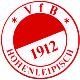 Avatar Bild für VfB Hohenleipisch 1912