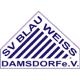 Avatar Bild für SV Blau-Weiß Damsdorf