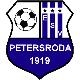 Avatar Bild für Erster SV Petersroda 1919