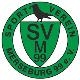 Avatar Bild für SV Merseburg 99