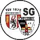 Avatar Bild für TSV 1872 Langenwetzendorf