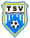 Avatar Bild für TSV 1990 Bilzingsleben