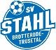 Avatar Bild für SV Stahl