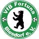 Avatar Bild für VFB Fortuna Biesdorf