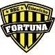 Avatar Bild für BSC Fortuna Glienicke