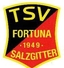 Avatar Bild für TSV Fortuna Salzgitter II