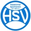 Avatar Bild für Haselünner SV 9er 2