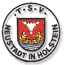 Avatar Bild für TSV Neustadt