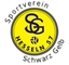 Avatar Bild für SG Hesseln II