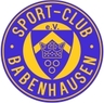 Avatar Bild für Sport-Club Babenhausen e.V.