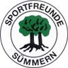 Avatar Bild für SPORTFREUNDE SÜMMERN E.V.