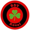 Avatar Bild für BALLSPIELVEREIN ROXEL E.V.