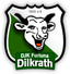 Avatar Bild für DJK Fortuna Dilkrath 2