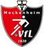 Avatar Bild für VfL Meckenheim 2