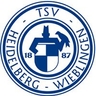 Avatar Bild für TSV WIEBLINGEN E.V.