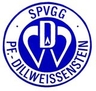 Avatar Bild für SPVGG DILLWEIßENSTEIN E.V.