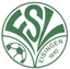 Avatar Bild für FSV Eisingen