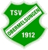 Avatar Bild für TSV 1912 Obermelsungen