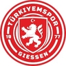 Avatar Bild für Türkiyemspor Gießen