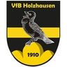 Avatar Bild für VFB 1910 Holzhausen