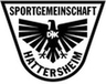 Avatar Bild für SG DJK 1966 Hattersheim