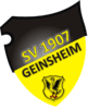 Avatar Bild für SV 1907 Geinsheim