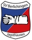 Avatar Bild für SGM SV Berlichingen/Schöntal