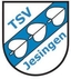 Avatar Bild für TSV Jesingen II