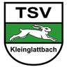 Avatar Bild für TSV Kleinglattbach