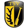 Avatar Bild für TSV Oberriexingen