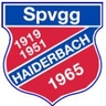 Avatar Bild für Spvgg. Haiderbach