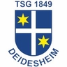 Avatar Bild für TSG 1849 Deidesheim