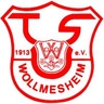 Avatar Bild für TuS 1913 Wollmesheim