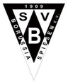 Avatar Bild für Sportverein Borussia Spiesen