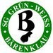 Avatar Bild für SG Grün-Weiß Bärenklau