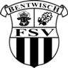 Avatar Bild für FSV Bentwisch