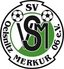 Avatar Bild für SV Merkur 06 Oelsnitz