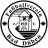 Avatar Bild für FV Bad Düben 1921