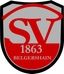 Avatar Bild für SG SV 1863 Belgershain / Naunhof 3